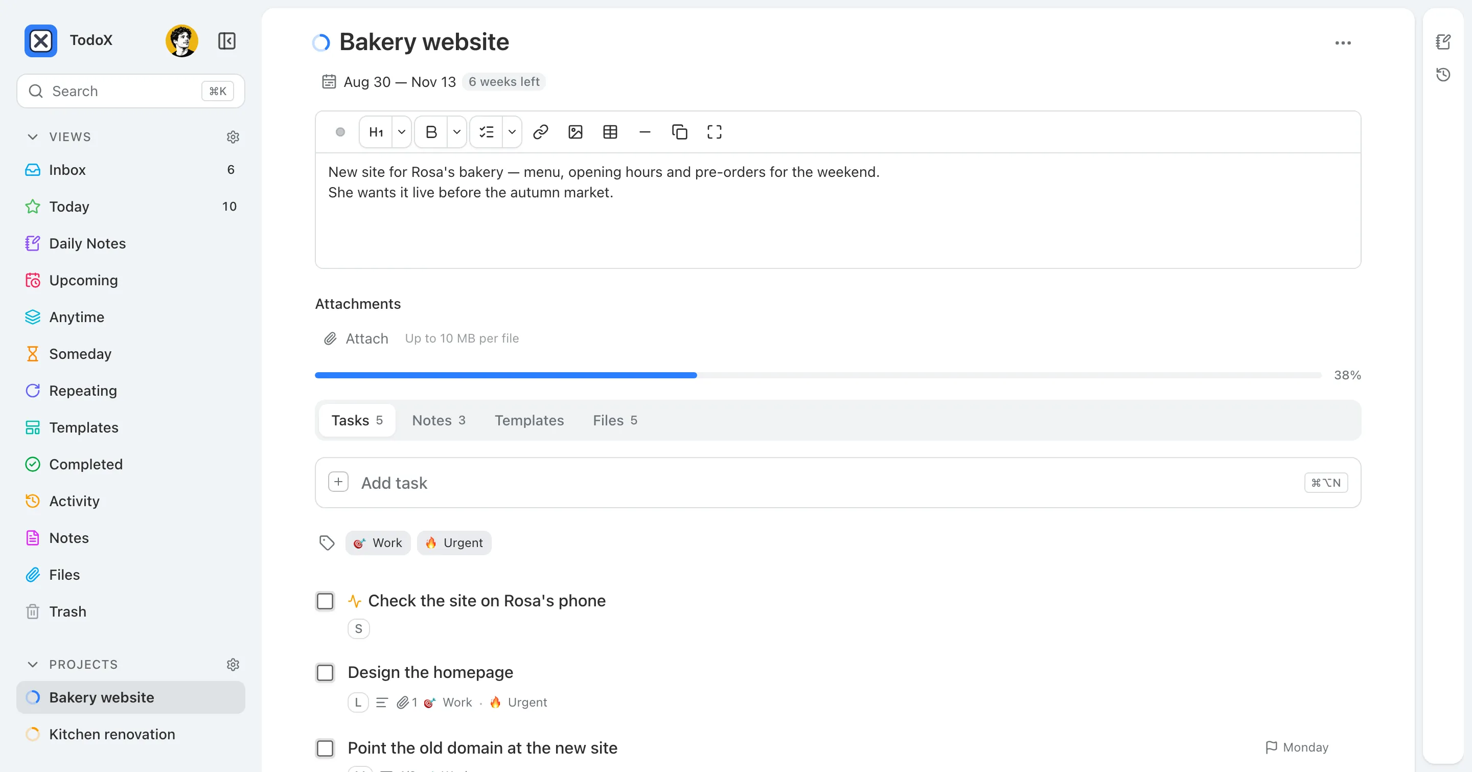 A project page with a description, a 38% progress bar and tabs for tasks, notes, templates and files.